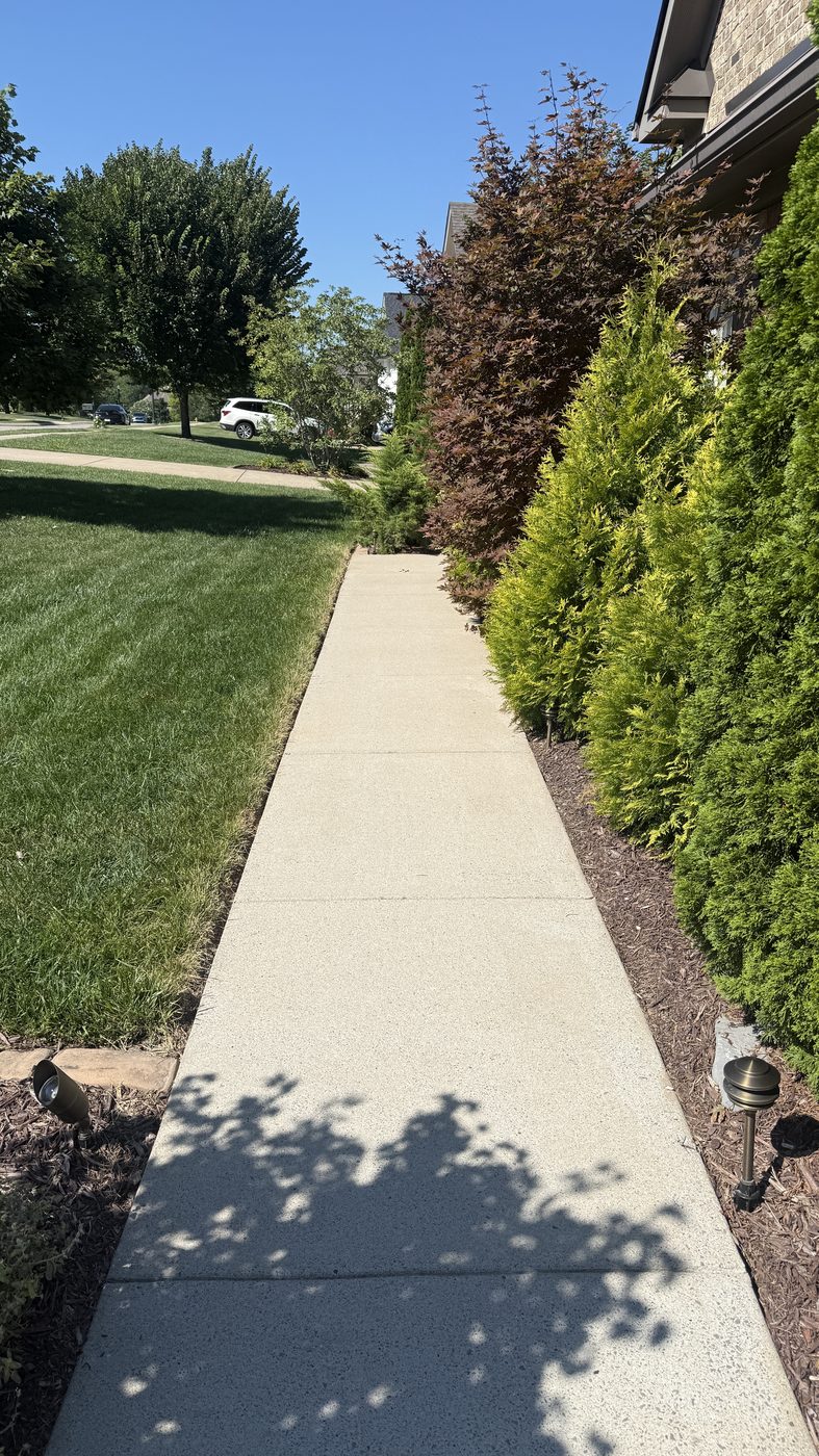 Front walkway after soft washing, bright and clean