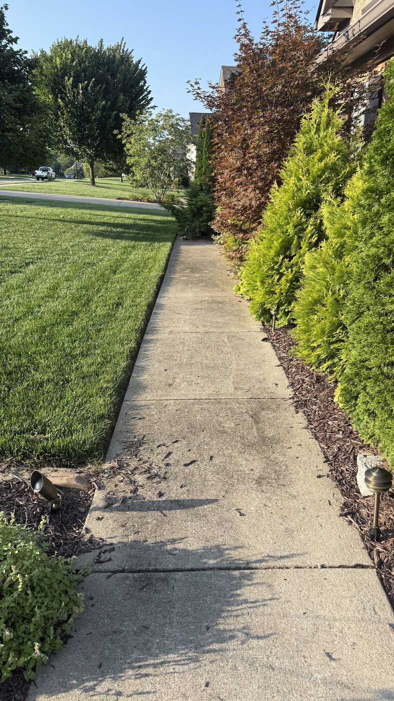 Front walkway before soft washing, dulled and dry